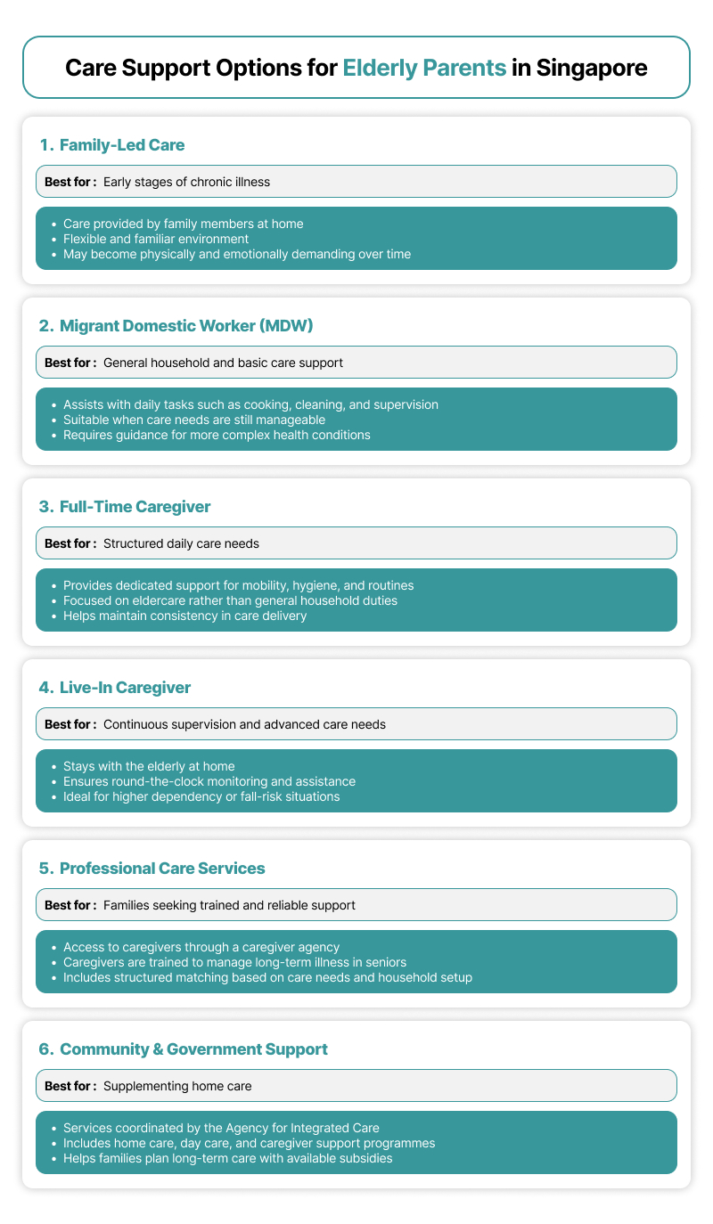 Care support options for elderly parents in Singapore infographic