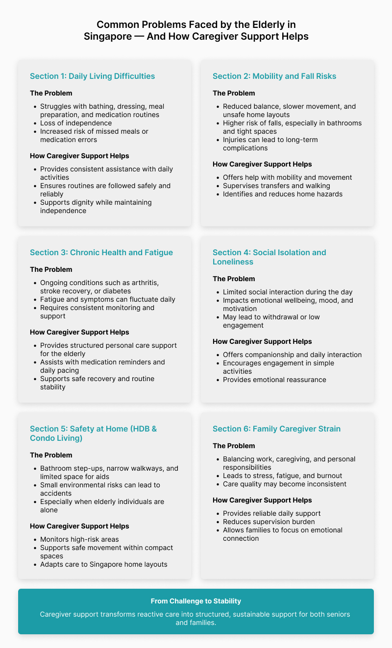 Common problems faced by the elderly in Singapore and how caregiver support helps — infographic covering daily living difficulties, mobility and fall risks, chronic health and fatigue, social isolation, home safety, and family caregiver strain