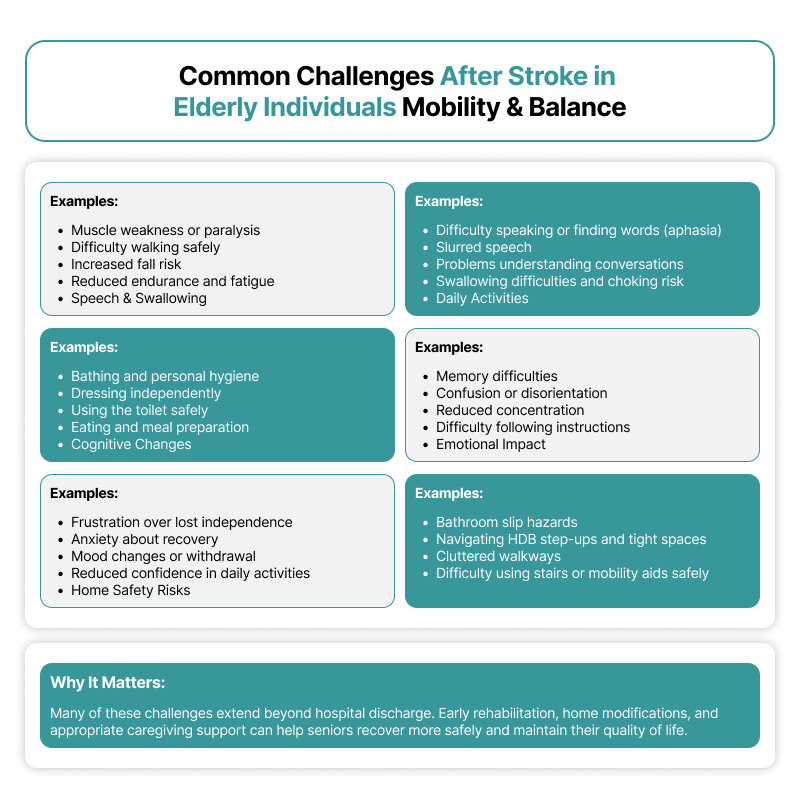Infographic: common challenges after stroke in elderly individuals — mobility, speech, daily living, cognition, emotional and home-safety risks